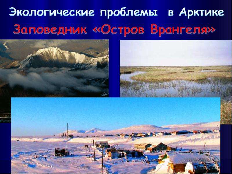 Арктические пустыни изменение природы человеком. Экологические проблемы Арктик. Экологическая ситуация в Арктике. Проблемы Арктики. Экологические проблемы арктических пустынь.