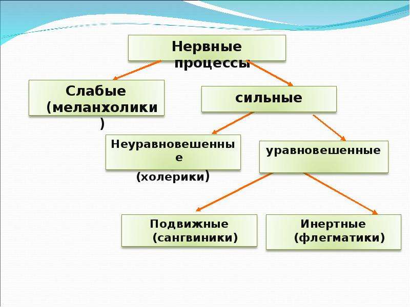 Психологические особенности личности презентация 8 класс биология