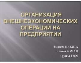 Миняев НИКИТА Князев РОМАН Группа Т 096