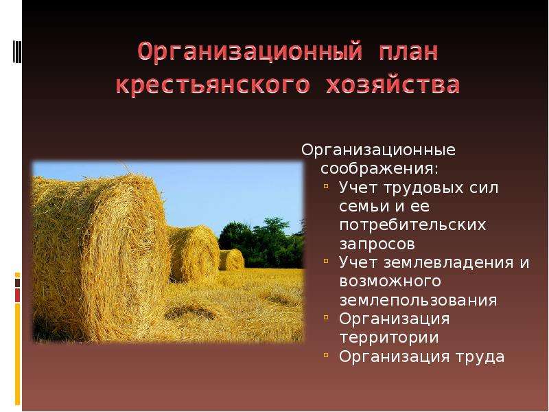 Труд крестьян в хозяйстве. Организационный план крестьянского хозяйства. Труд в крестьянском хозяйстве. Труд в крестьянском хозяйстве план. Пересказ труд в крестьянском хозяйстве.