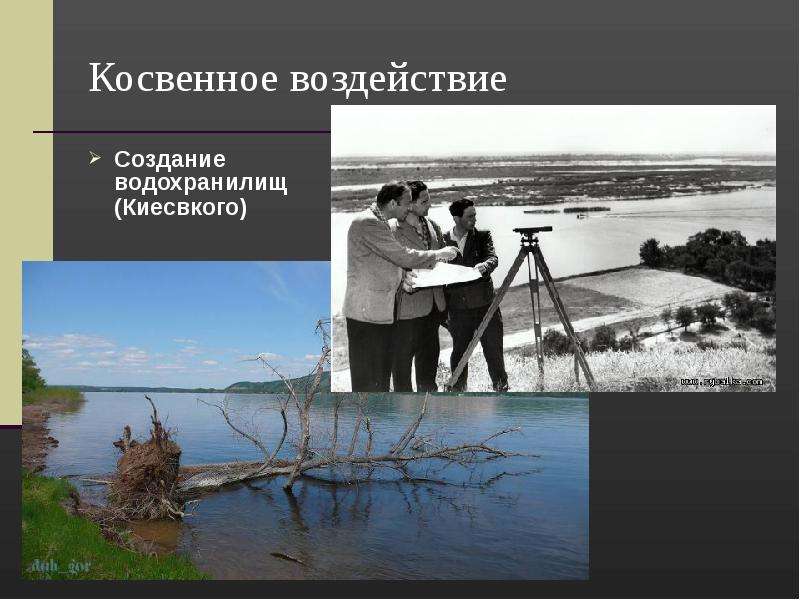 Влияние создания. Косвенное воздействие. Влияние водохранилищ на человека. Косвенное воздействие картинки. Косвенное воздействие на животных картинка.