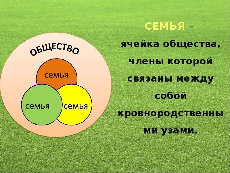 Семья обществознание презентация