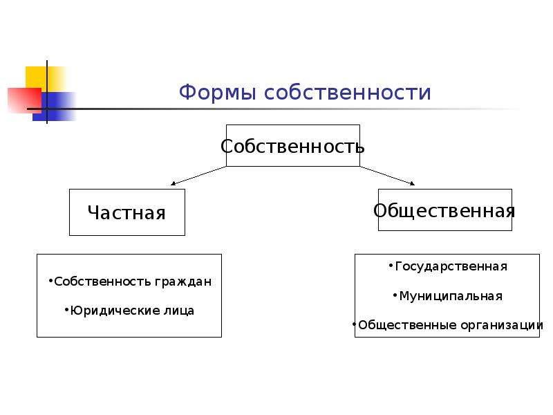 Лицо приобретающая собственность. Формы частной собственности. Формы общественной собственности. Частная собственность виды и формы. Форма собственности общественной организации.