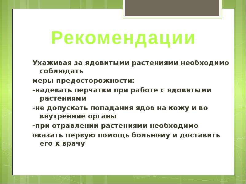 Признаки ядовитых растений. Памятка ядовитые растения. Правила опасные растения. Правила обращения с ядовитыми растениями.