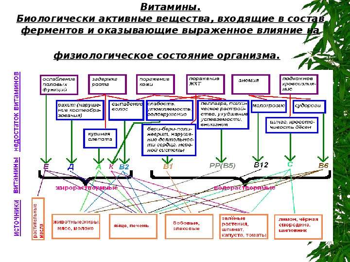 Составом из активных веществ в. Биологически активные соединения. Физиологическое состояние организма. Био активность соед. Механизмы воздействия биологически активных соединений на организм.