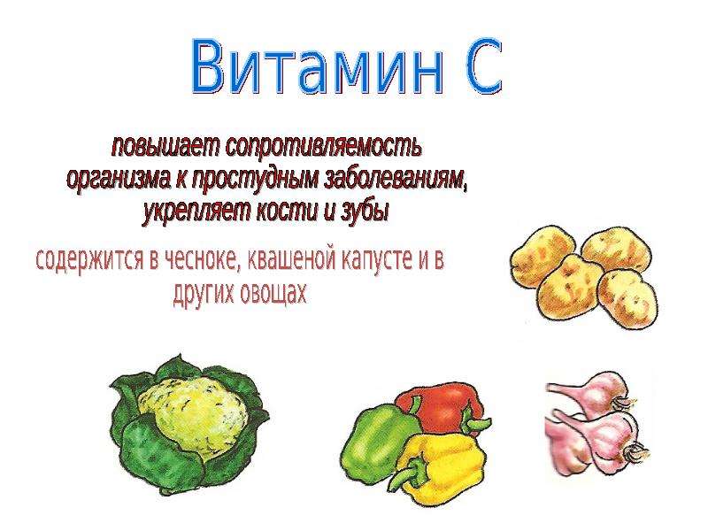 Овощи с витамином с в картинках