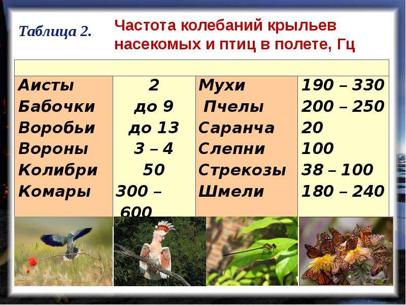 Частота колебаний 10 гц. Таблица «частота колебаний крыльев насекомых и птиц в полете». Частота колебаний крыльев насекомых. Частота колебаний таблица. Частота взмахов крыльев насекомых.