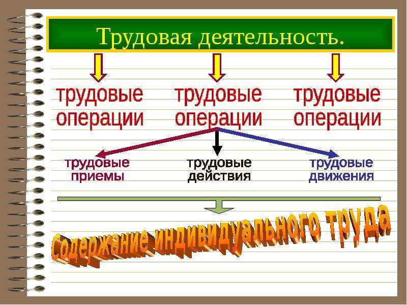 Презентация на тему трудовая деятельность