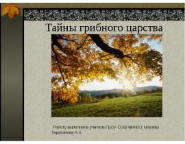 Тайны грибного царства