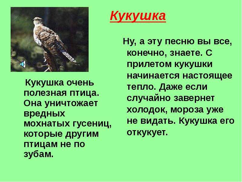 Включите песню кукушка