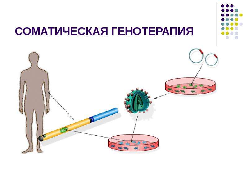 Фетальная генотерапия картинки