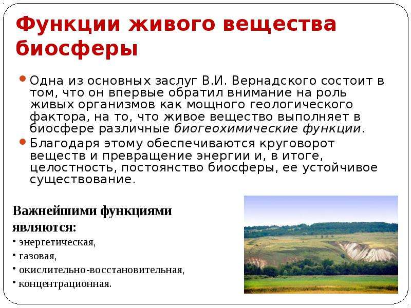 Функции живого. Функции живого вещества в биосфере по Вернадскому. Функции живого вещества в биосфере таблица. Основная роль живого вещества в биосфере. Роль и функции живого вещества в биосфере.