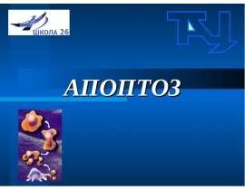 АПОПТОЗ