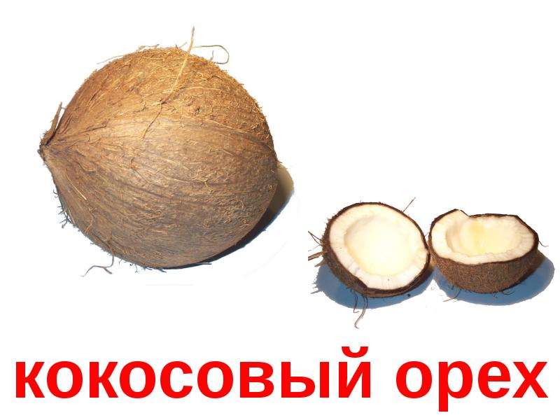 Картинки орехи карточки