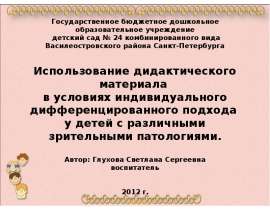 Государственное бюджетное дошкольное образовательное учреждение детский сад № 24 комбинированного вида Василеостровского район