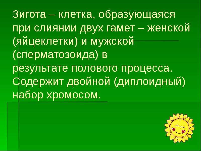 Результат слияния мужской и женской половых