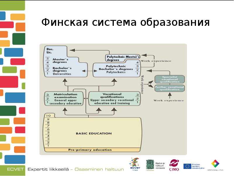 Система образования в финляндии схема