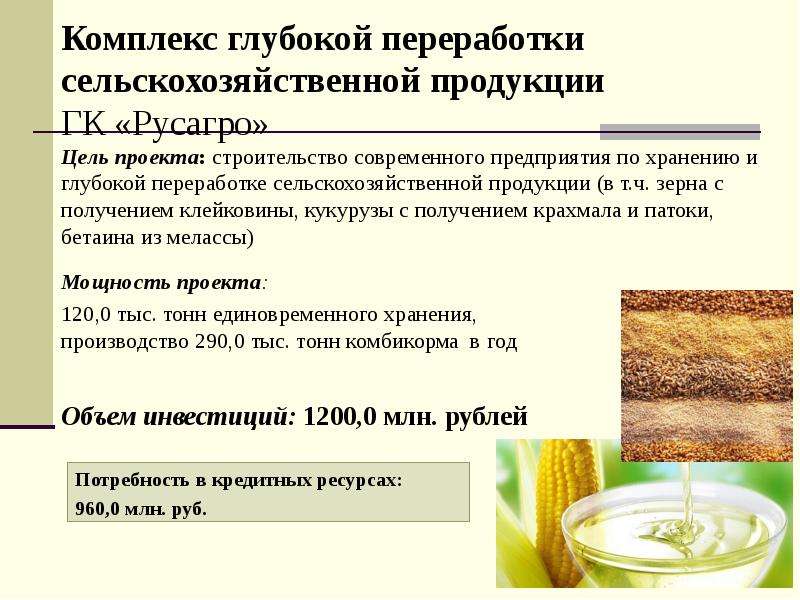 Приоритетные инвестиционные проекты Тамбовской области, слайд 16