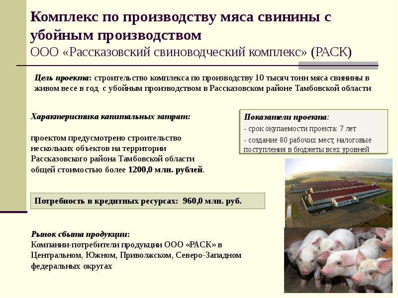 Комплекс по производству мяса свинины с убойным производством ООО «Рассказовский свиноводческий комп