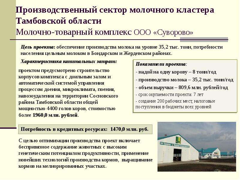 Приоритетные инвестиционные проекты Тамбовской области, слайд 6