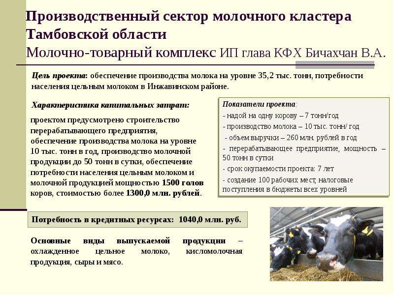 Приоритетные инвестиционные проекты Тамбовской области, слайд 7