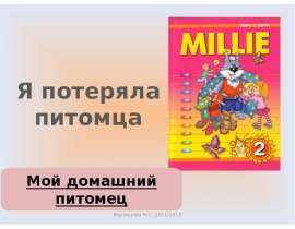 Я потеряла питомца