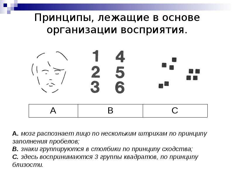 Принципы восприятия. Принципы организации восприятия. Гештальт принципы восприятия. Принципы визуального восприятия.