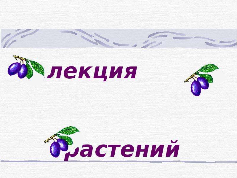 Презентация селекция растений пименов