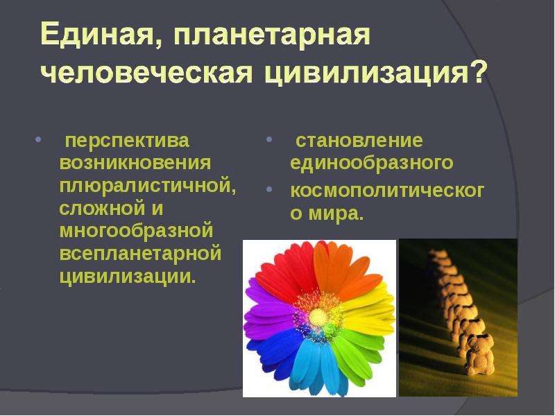 Многообразие современного мира презентация 11 класс обществознание