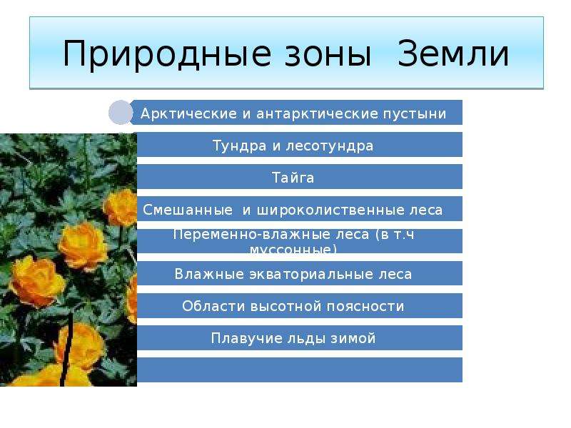 Природные зоны конспекты уроков. Природные зоны земли. Природные зоны земли 5 класс. Природные зоны земли презентация. Презентация на тему природные зоны.