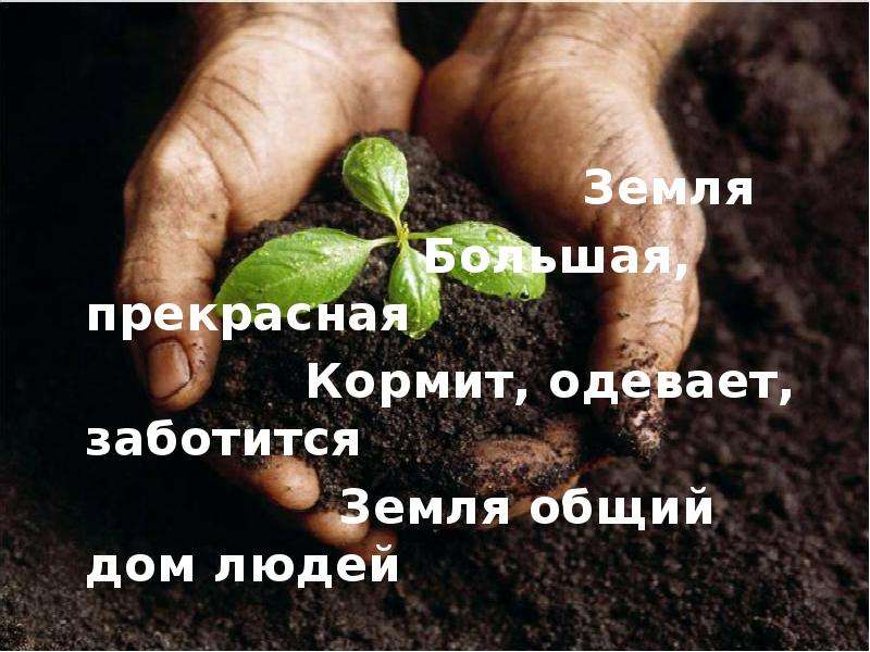 Заботящаяся почва. Забота о почве. Доклад как люди заботятся о почве. Как люди заботятся о сохранении почвы. Как заботится о почве.