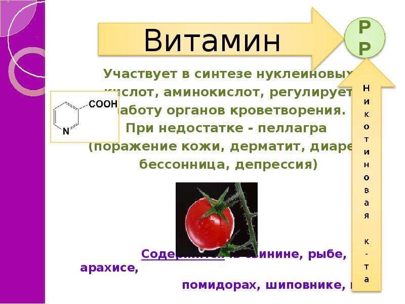 Проект по биологии 9 класс на тему витамины