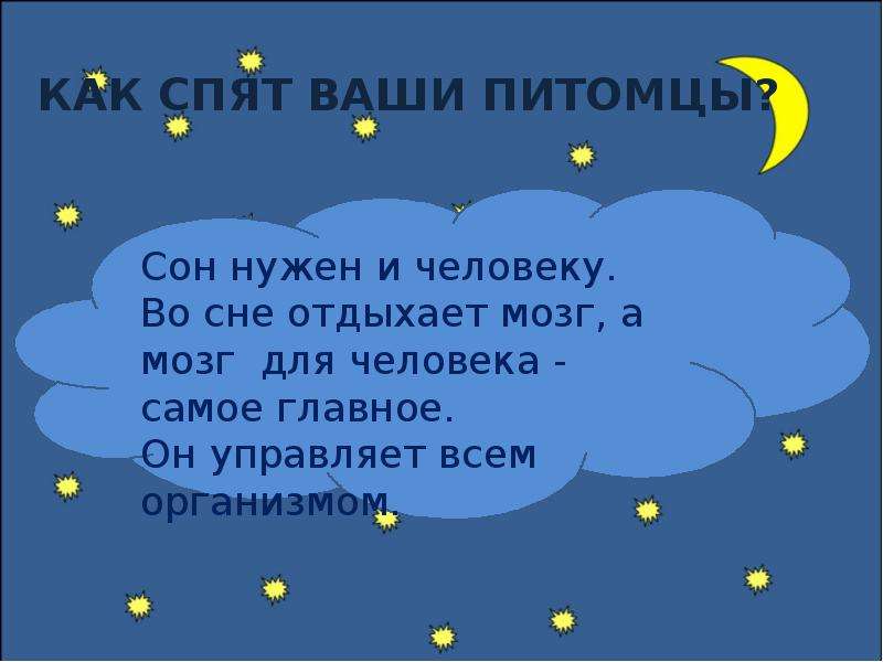 Почему нужно спать ночью. Алиса зачем человеку спать. Какие люди не спят ночью. Мозг спит когда мы спим ночью. Зачем мы спим Алан.