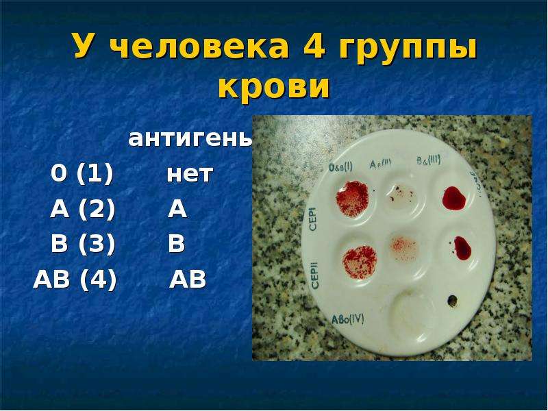 Группы крови человека картинка