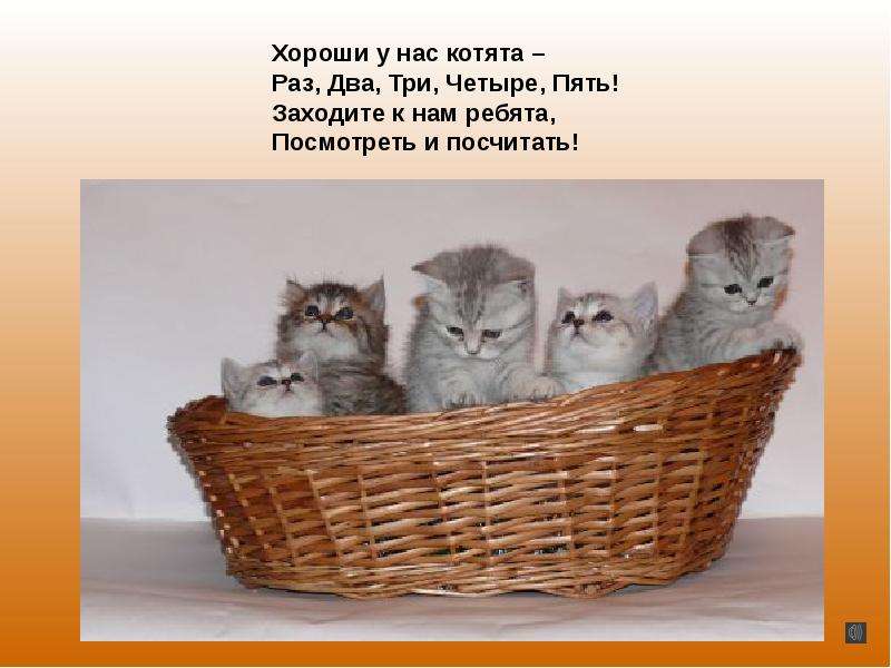 5 котят картинки для детей