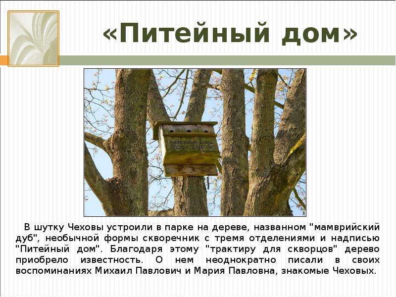 Дуб удивительное растение диктант. Мамврийский дуб Мелихово. Текст дуб удивительное дерево. Шутки Чехова. Три шутки Чехова.