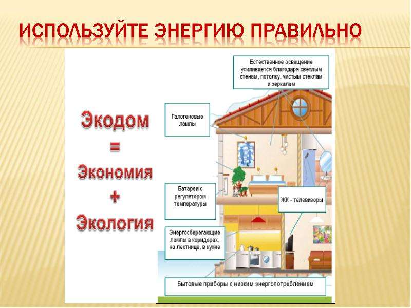 Проект экология моего жилища