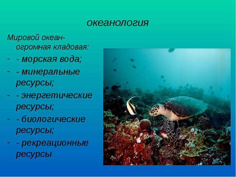 Сайт океанология. Океанология это наука. Презентация океанология. Океанолог презентация. Объект изучения океанологии.