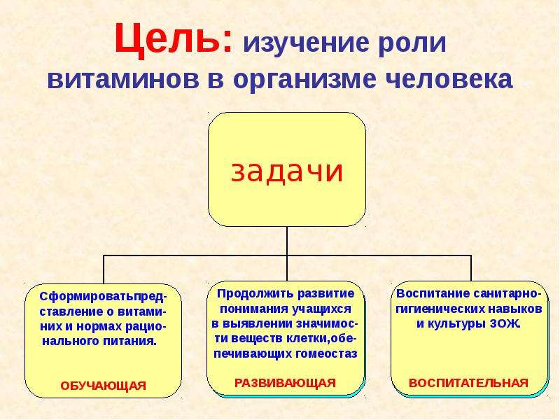 Проект витамины в жизни человека 9 класс