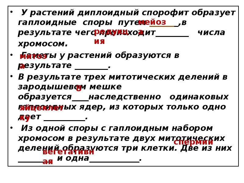 Гаплоидные споры. Диплоидные споры. Спора растений гаплоидный диплоидный. Спора гаплоидная или. Споры папоротника гаплоидные или диплоидные.