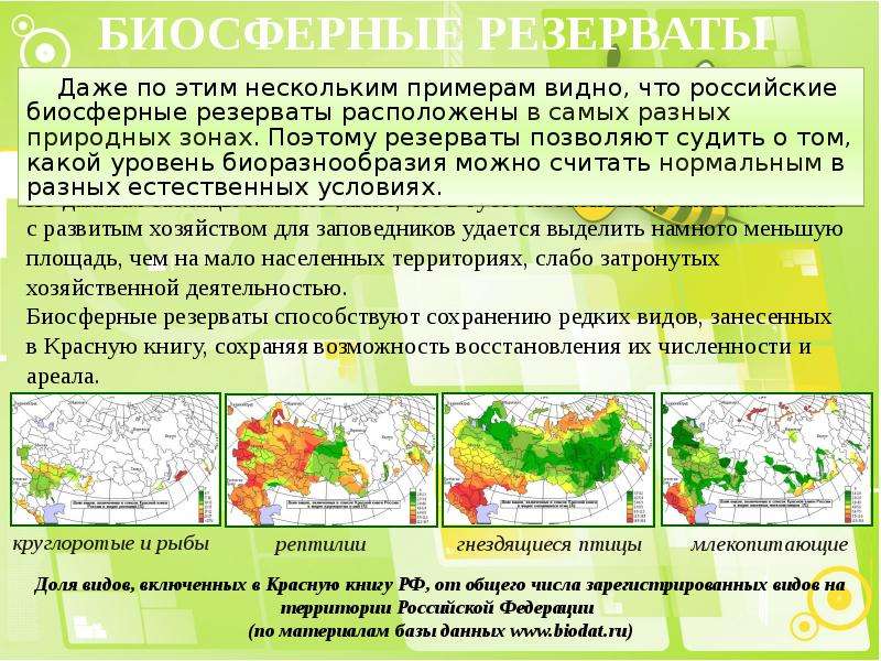 Роль человека в сохранении разнообразия видов в природе проект 9 класс