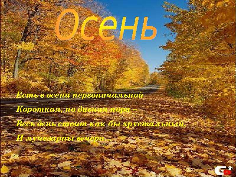 Чудная пора осень. Осень дивная пора. Есть в осени первоначальной. «Есть в осени ПЕРВОНАЧАЛЬНОЙКОРОТКАЯ, но дивная пора…». Есть в осени прекрасная пора.