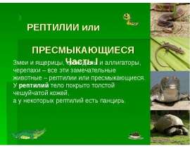 Ящерицы - презентация к уроку Окружающий мир