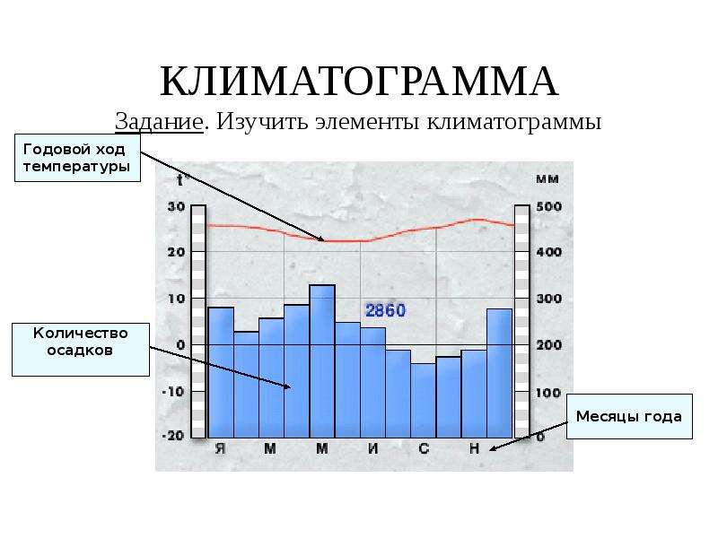 По климатической диаграмме определите тип климата южной америки