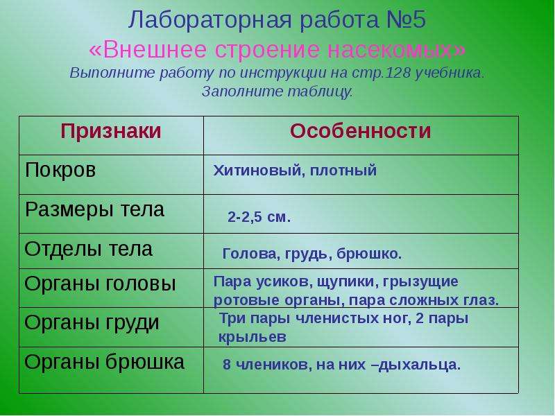 Какая из нижеприведенных характеристик относится к животному изображенному на рисунке майский жук