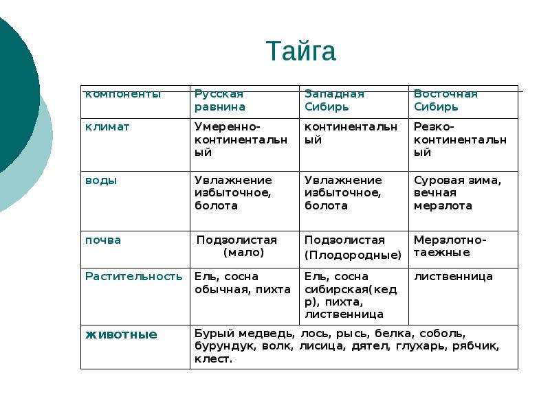 Характеристика тундры по плану 8 класс география