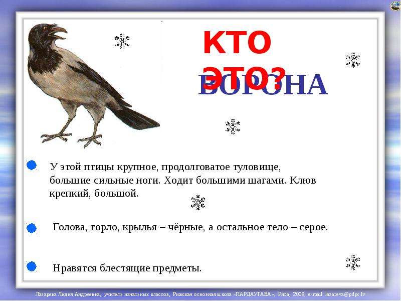 Пословица ворон ворону. Ворона описание для детей дошкольного возраста. Загадка про ворону. Загадка о вороне. Загадка о вороне для детей.