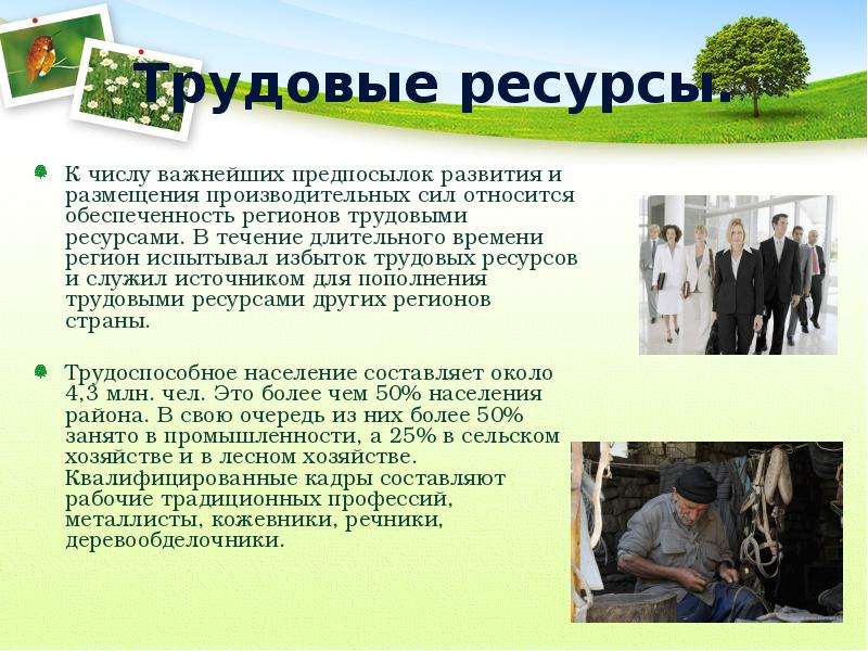 Обеспеченность трудовыми ресурсами европейского юга