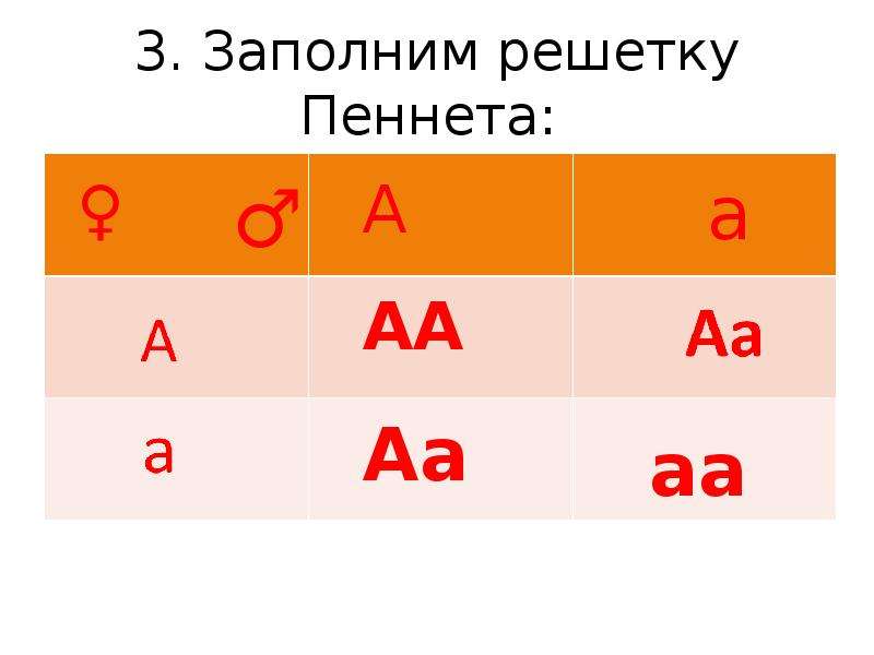 Решетка пеннета. Решётка Пеннета АА АА. Генетика таблица Пинета. Решетка Пеннета заполненная. Сетка Пинета.