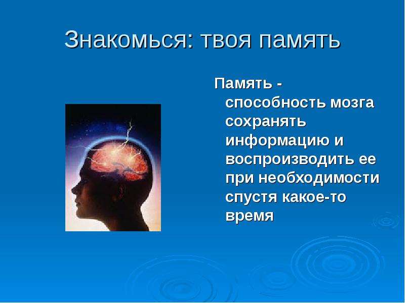 Способность мозга хранить и воспроизводить информацию. Информация в мозге сохраняется. Сообщение о необычных способностях памяти. Сколько информации может хранить мозг.